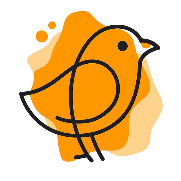 Cheerful Chicks Corner